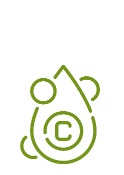 Critical vitamins (C, E, K) icon