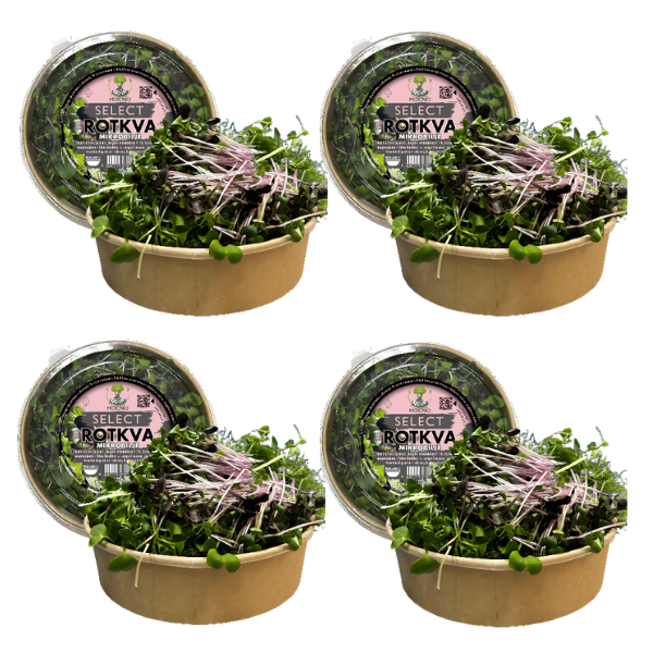 MOĆNO Select Radish microgreens in eco-friendly packaging - view of four boxes - a rich source of vitamin C and a specific spicy flavor for gourmet dishes.