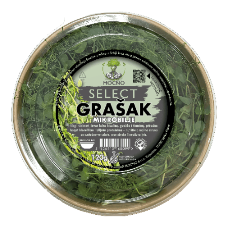 Top view of a MOĆNO SELECT premium pea shoot microgreens tub