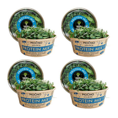 Four tubs of MOĆNO Protein Mix fresh microgreens grouped together
