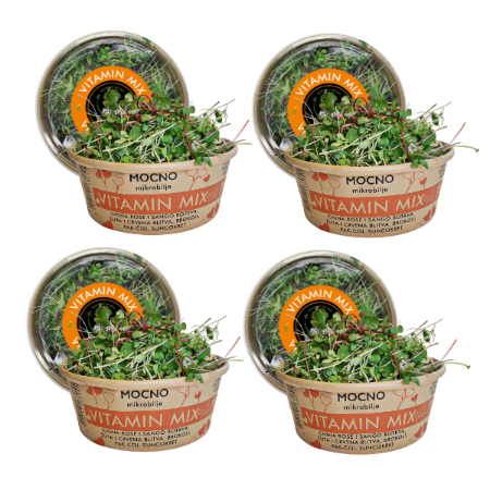Four tubs of MOĆNO Vitamin Mix fresh microgreens grouped together