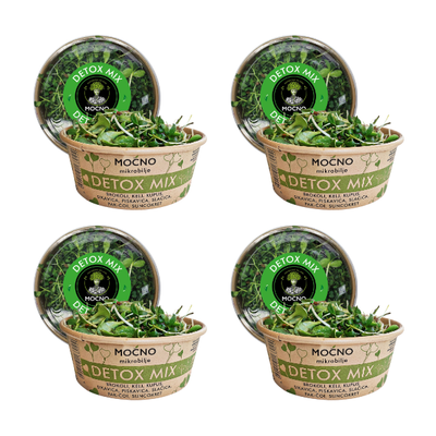 View of four Detox Mix packages arranged in a row. Visual confirmation of the availability of this green energy booster for everyone who wants to reset their body naturally. The message is about the monthly subscription where the user receives one box of microgreens weekly, with our delivery.