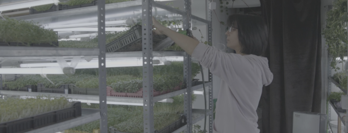 Milena from the Močno team waters the vertical microbial farm. The emphasis is on inviting others to farm with us by becoming part of the Power Farm Network.