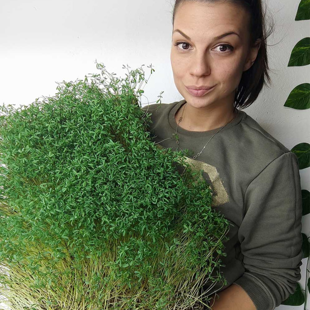 Milena Jovanović shows the exceptional density and freshness of MOĆNO microgreens of peas ready for delivery to restaurants and customers.