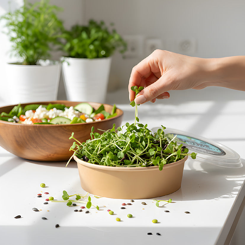 A hand picking a fresh microgreen sprout from a round MOĆNO Select Trio Harmony eco-bowl on a bright kitchen counter, next to a fresh salad bowl.
