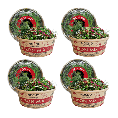 View of four Iron Mix packages in a row. Visual confirmation of the availability of this mix designed for anyone who wants to naturally improve their blood count. The message is about the monthly subscription where the user receives one box of microgreens weekly, with our delivery.