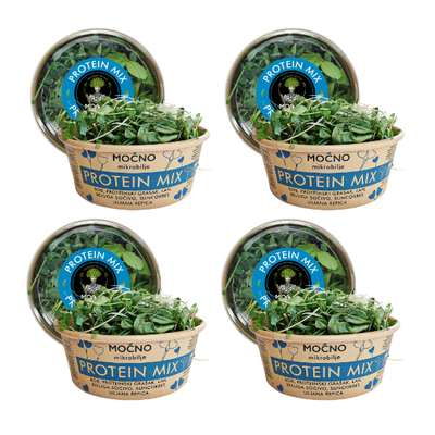 View of four Protein Mix packages arranged in a row. Visual proof of the availability of this mix, which serves as a natural source of plant proteins and energy. The message is about the monthly subscription where the user receives one box of microgreens weekly, with our delivery.