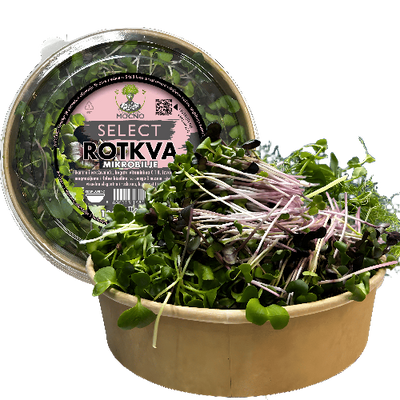 MOĆNO Select Radish microgreens in an eco-friendly container - a rich source of vitamin C and a specific spicy flavor for gourmet dishes.