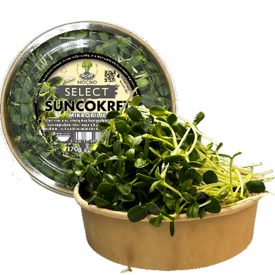 MOĆNO Select Sunflower microgreens in sustainable packaging - large, crunchy shoots rich in protein and omega fatty acids.