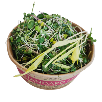 Close-up of the open Standard Mix packaging. A dense mixture containing radish, pea, sunflower, and cabbage microgreens is visible, rich in vitamins C, E, and K.