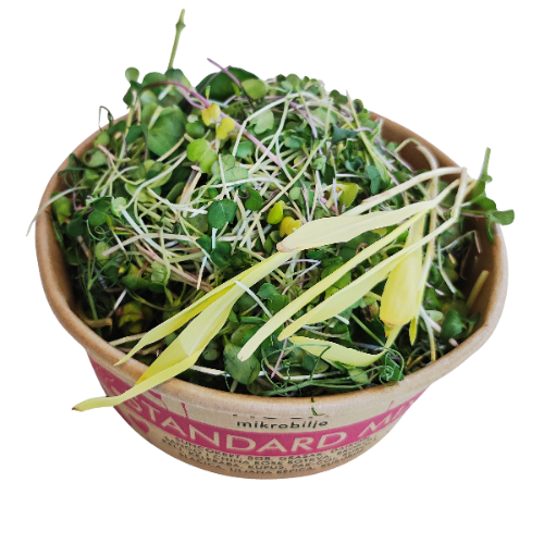 Close-up of the open Standard Mix packaging. A dense mixture containing radish, pea, sunflower, and cabbage microgreens is visible, rich in vitamins C, E, and K.
