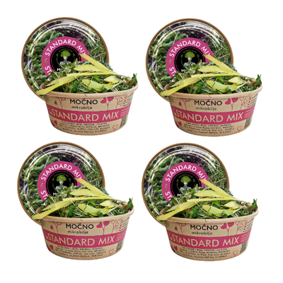 View of four Standard Mix packages. Readiness of the product for delivery to fresh superfood lovers. The message is about the monthly subscription where the user receives one box of microgreens weekly.