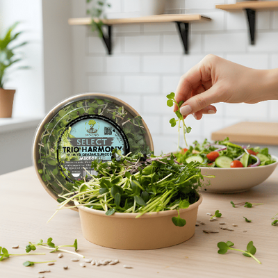 A hand adding fresh microgreens from the Trio Harmony packaging into a rich salad in a modern, bright kitchen.