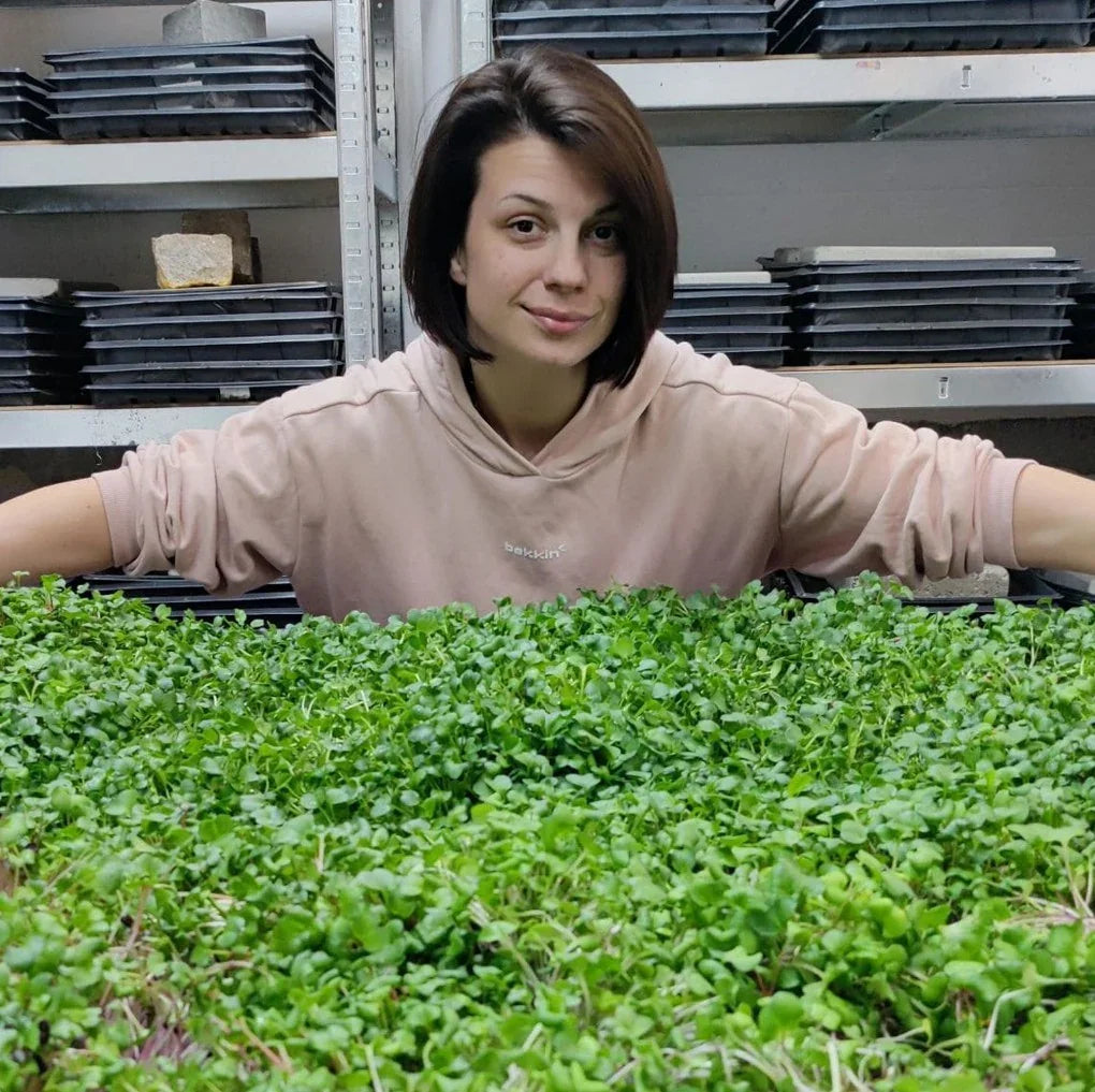 MOĆNO indoor vertical farm growing microgreens under LED grow lights. Milena Jovanović showcasing grown microgreens.