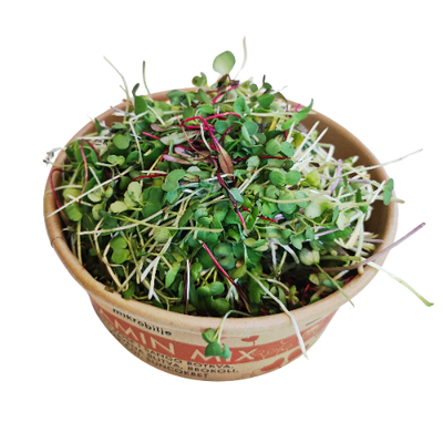 Detailed close-up of the open packaging where sango radish microgreens and delicate green leaves of broccoli and red chard, rich in vitamins A, C, and E, are clearly visible.