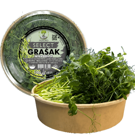 MOĆNO SELECT pea shoot microgreens in a kraft tub