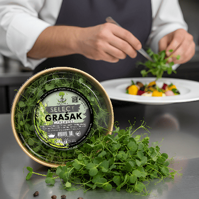 A chef carefully decorating a gourmet dish using fresh MOĆNO pea microgreens shoots, highlighting the premium quality of the product.