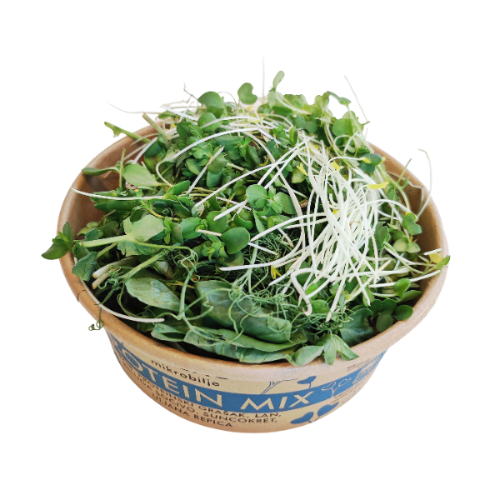 Open tub of MOĆNO Protein Mix fresh microgreens, close-up