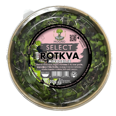 Freshly harvested MOĆNO brand radish microgreens, known for their detoxifying properties and high concentration of antioxidants.