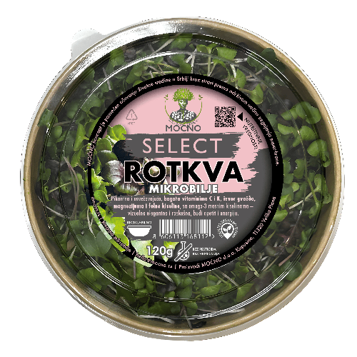 Freshly harvested MOĆNO brand radish microgreens, known for their detoxifying properties and high concentration of antioxidants.