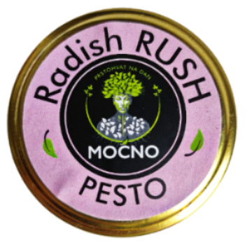 MOĆNO Radish Rush microgreens pesto jar with purple lid label, front view