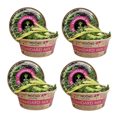 Four tubs of MOĆNO Standard Mix fresh microgreens grouped together