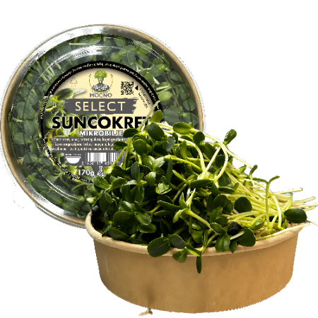 MOĆNO SELECT sunflower microgreens in a kraft tub