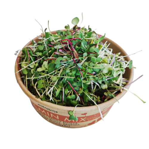 Open tub of MOĆNO Vitamin Mix fresh microgreens, close-up